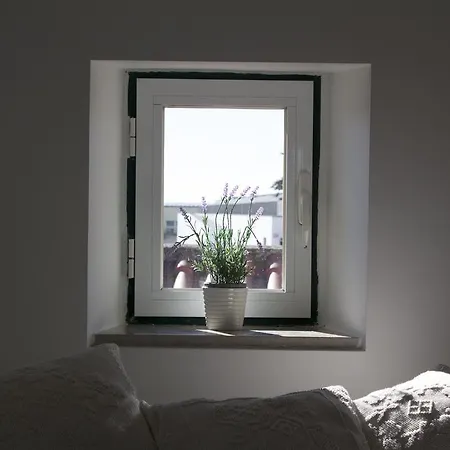 Casa Postigo Do Cais - Piso 1 Apartment Setúbal